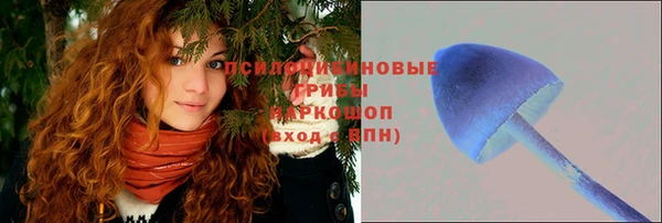 2c-b Алексин