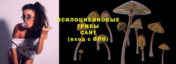 кокс Абдулино
