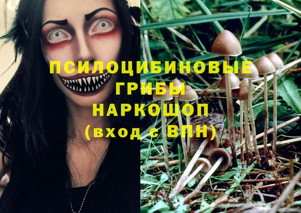 jwh Алзамай