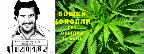 ПСИЛОЦИБИНОВЫЕ ГРИБЫ Абаза