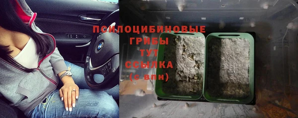 кокс Абдулино
