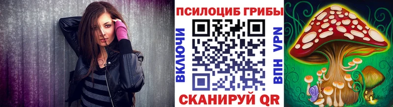 где купить наркоту  Питкяранта  Галлюциногенные грибы мицелий 