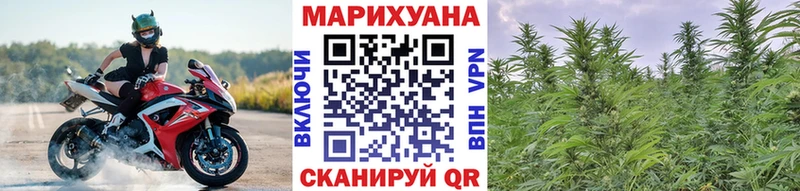 Конопля Bruce Banner  дарк нет официальный сайт  Питкяранта 